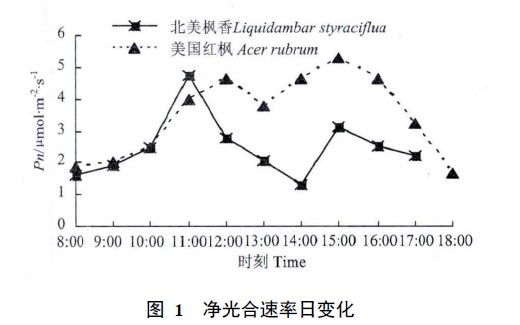圖 1 凈光合速率日變化